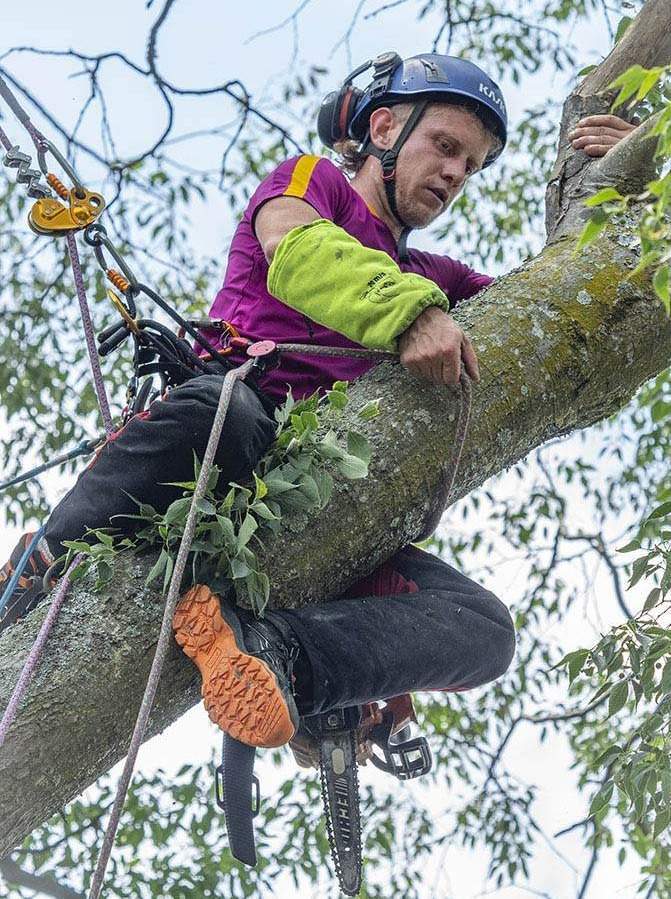 Arboriste-élagueur professionnel  près de Lyon